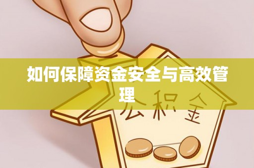 子洲如何保障资金安全与高效管理