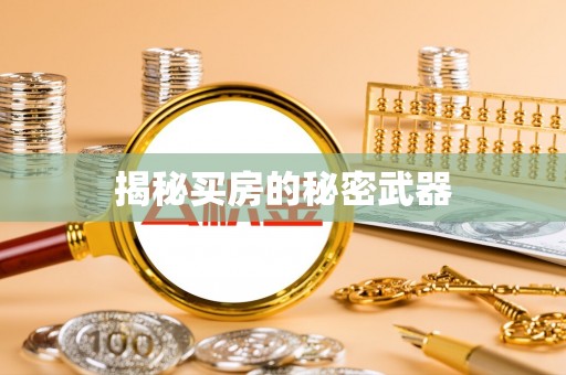 子洲揭秘买房的秘密武器