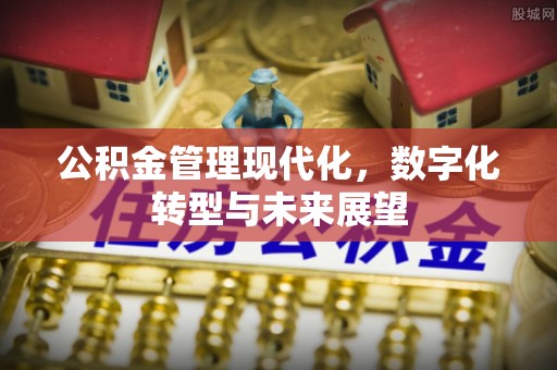 子洲公积金管理现代化，数字化转型与未来展望