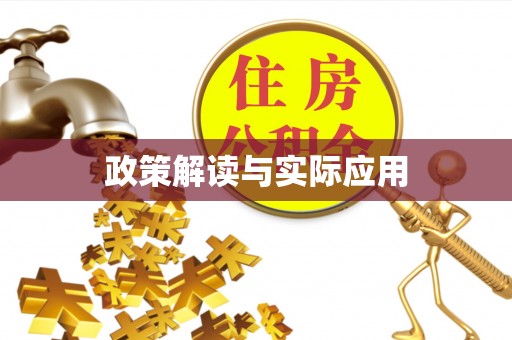 子洲政策解读与实际应用