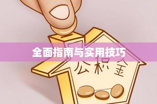 子洲全面指南与实用技巧