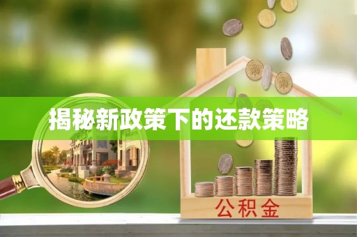 子洲揭秘新政策下的还款策略