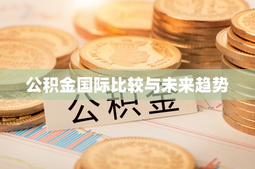 子洲公积金国际比较与未来趋势