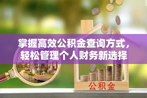 子洲掌握高效公积金查询方式，轻松管理个人财务新选择
