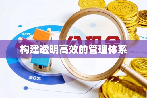 子洲构建透明高效的管理体系
