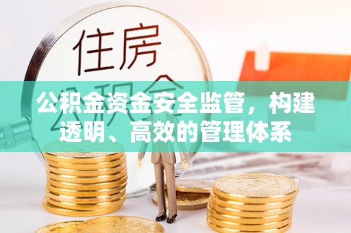 子洲公积金资金安全监管，构建透明、高效的管理体系