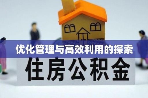 子洲优化管理与高效利用的探索