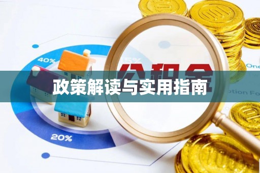 子洲政策解读与实用指南