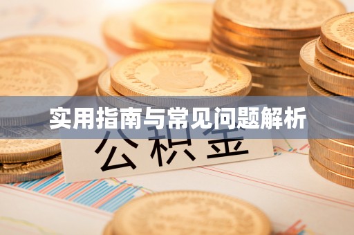 子洲实用指南与常见问题解析