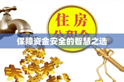 子洲保障资金安全的智慧之选