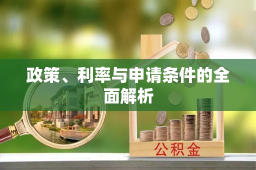 子洲政策、利率与申请条件的全面解析