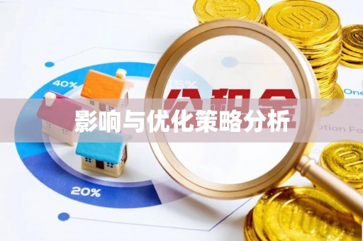 子洲影响与优化策略分析