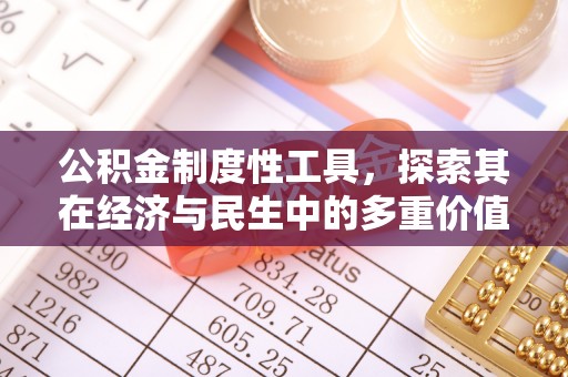 子洲公积金制度性工具，探索其在经济与民生中的多重价值