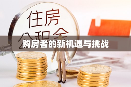 子洲购房者的新机遇与挑战