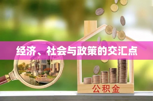 子洲经济、社会与政策的交汇点