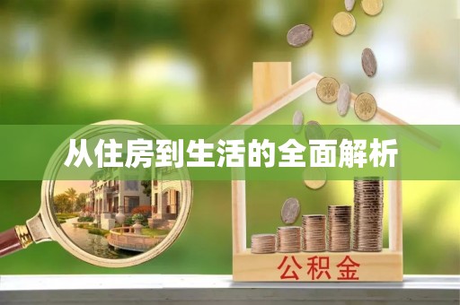 子洲从住房到生活的全面解析