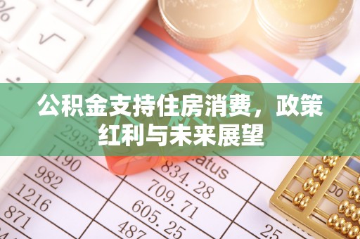 子洲公积金支持住房消费，政策红利与未来展望