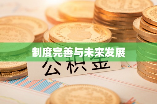 子洲制度完善与未来发展
