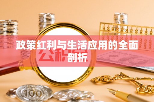 子洲政策红利与生活应用的全面剖析