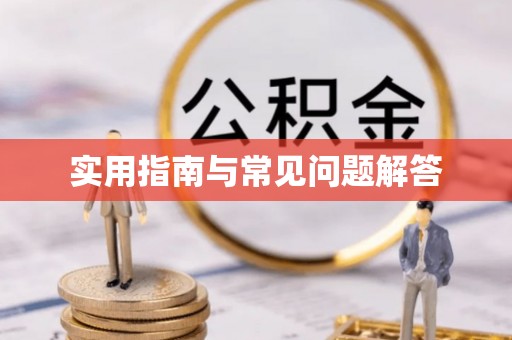 子洲实用指南与常见问题解答