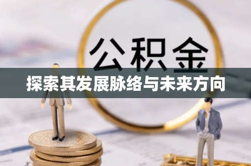 子洲探索其发展脉络与未来方向