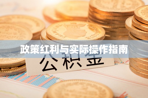 子洲政策红利与实际操作指南