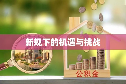 子洲新规下的机遇与挑战