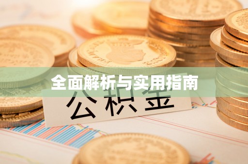 子洲全面解析与实用指南
